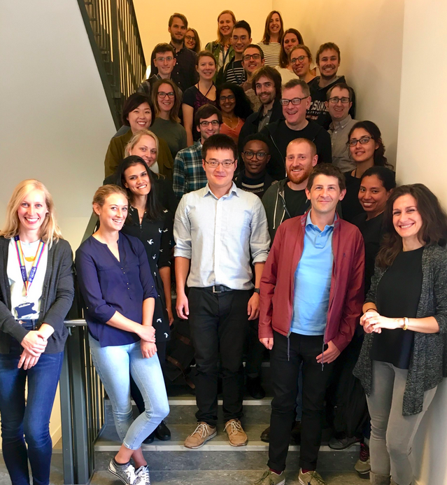 Researchers collaborating in a workshop